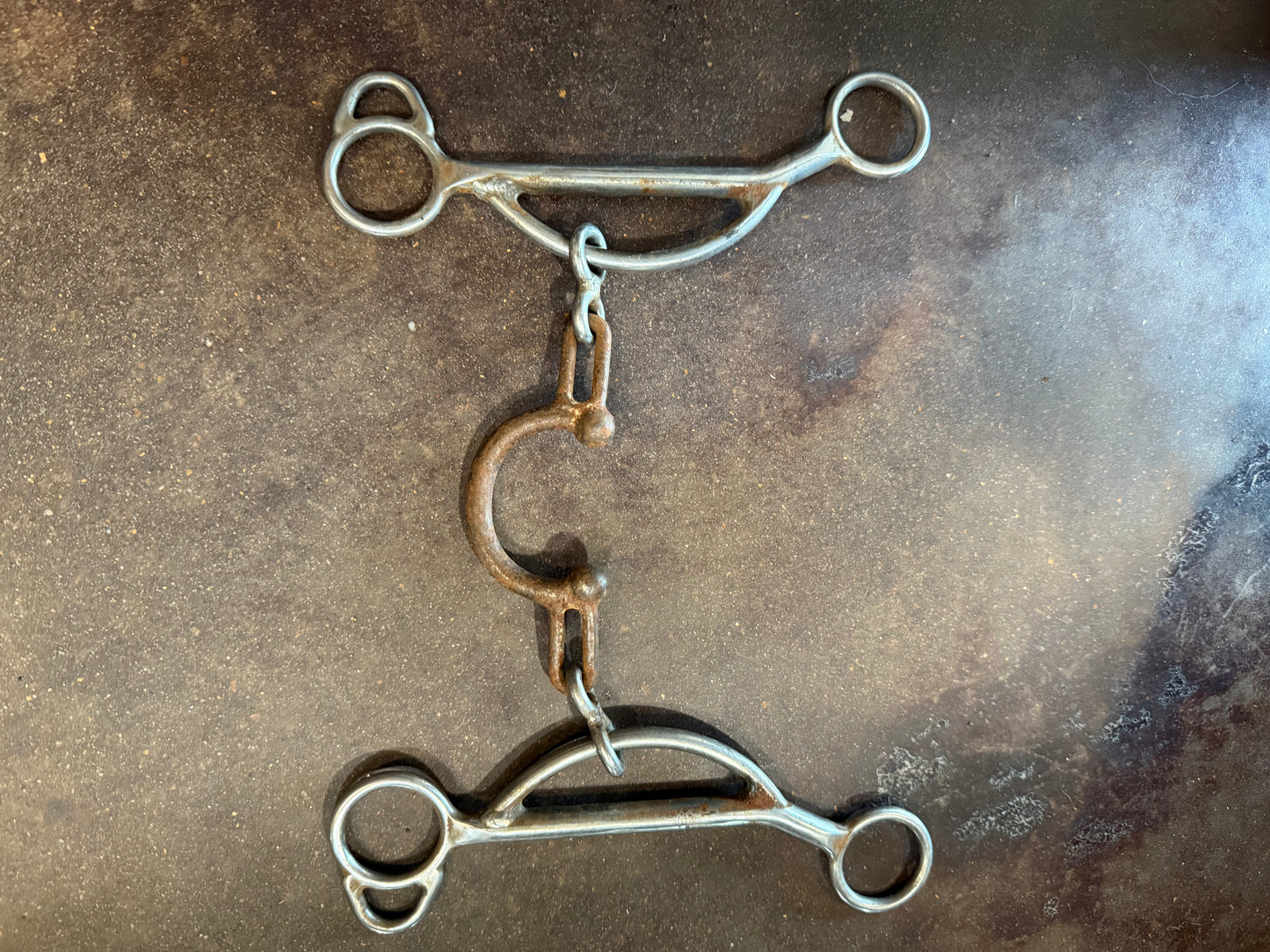 Kerry Kelly Chain Port Gag Barrel Bit