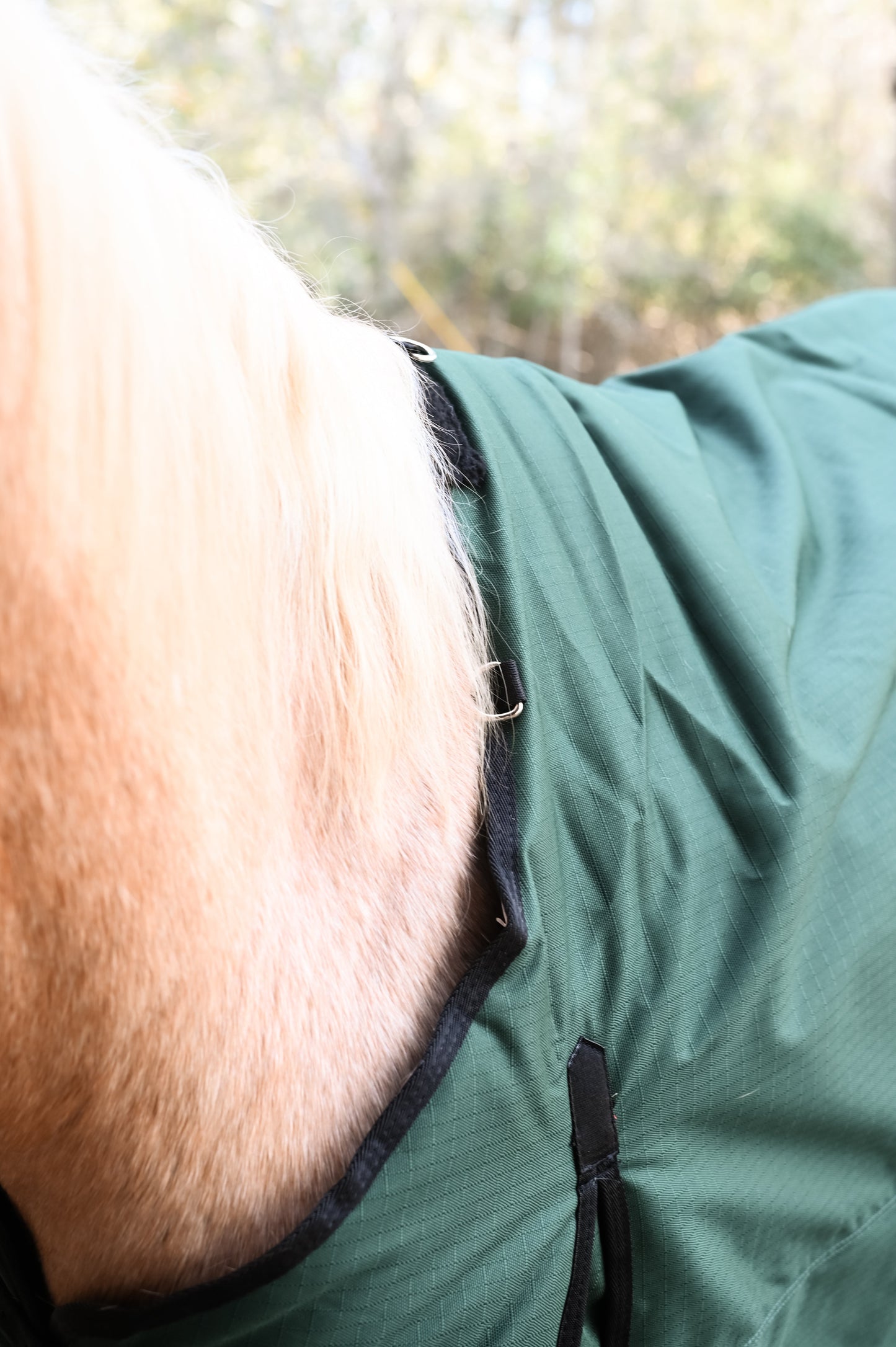 1200D Waterproof Turnout Horse Blanket 400g - Green