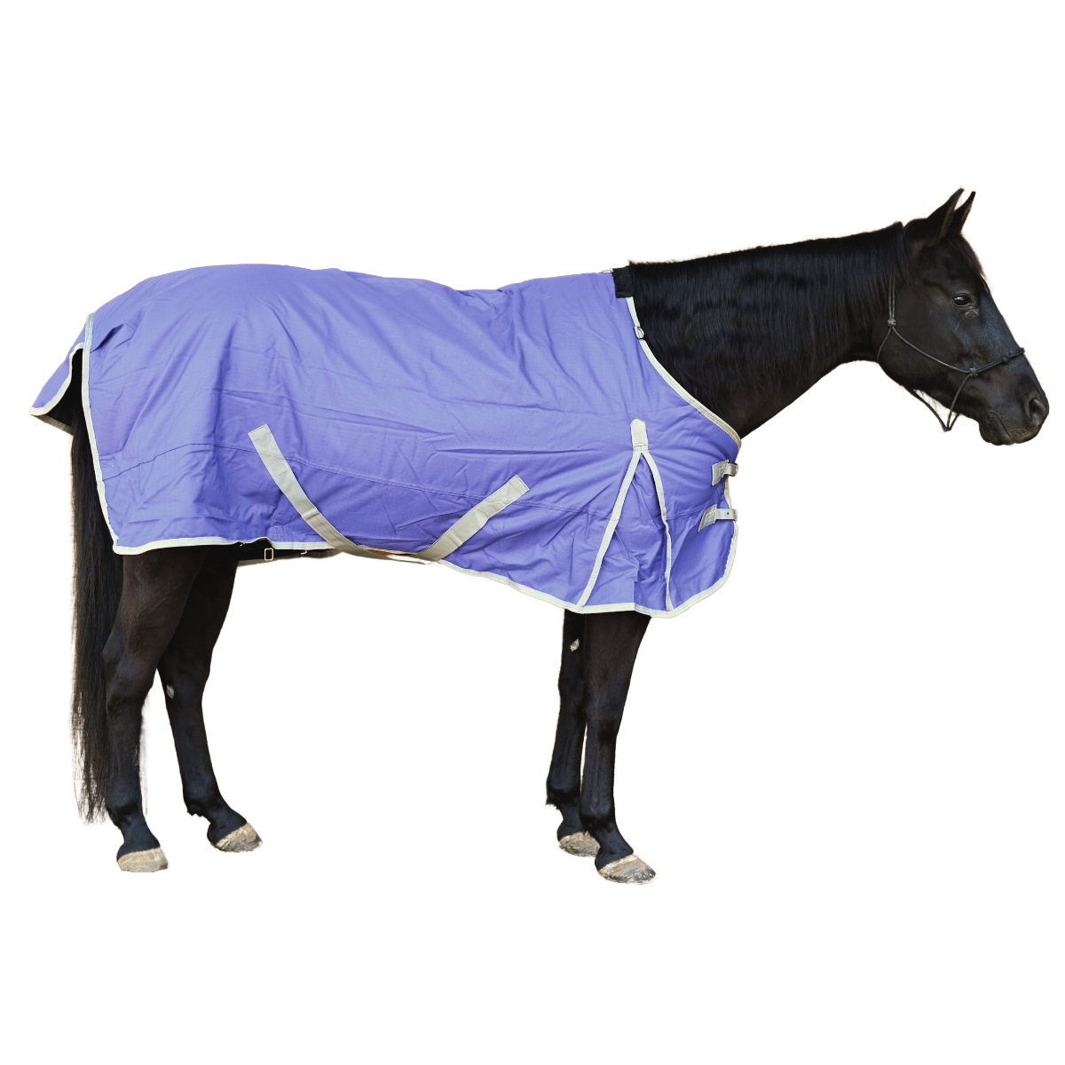 1200D Horse Turnout Blanket with Storage Bag - Purple