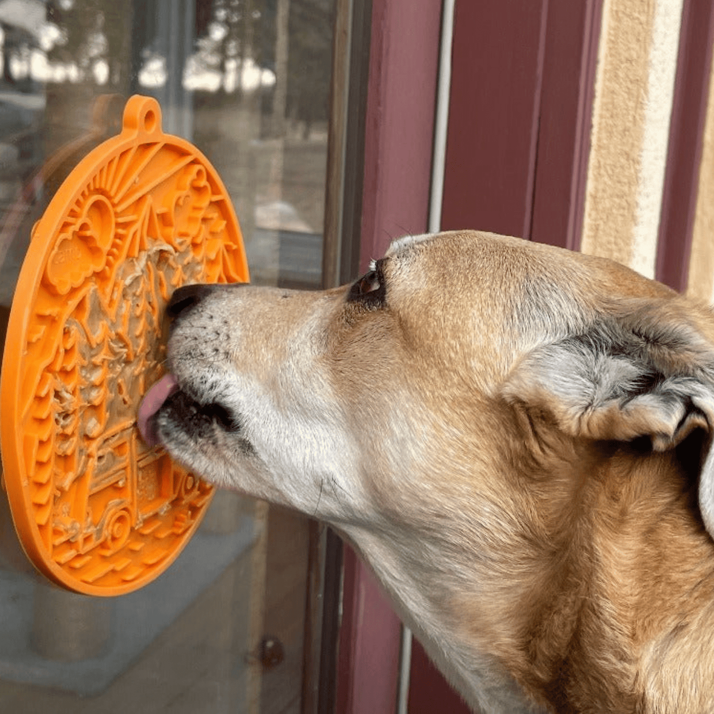Dog Lick Mats with Suction Cups