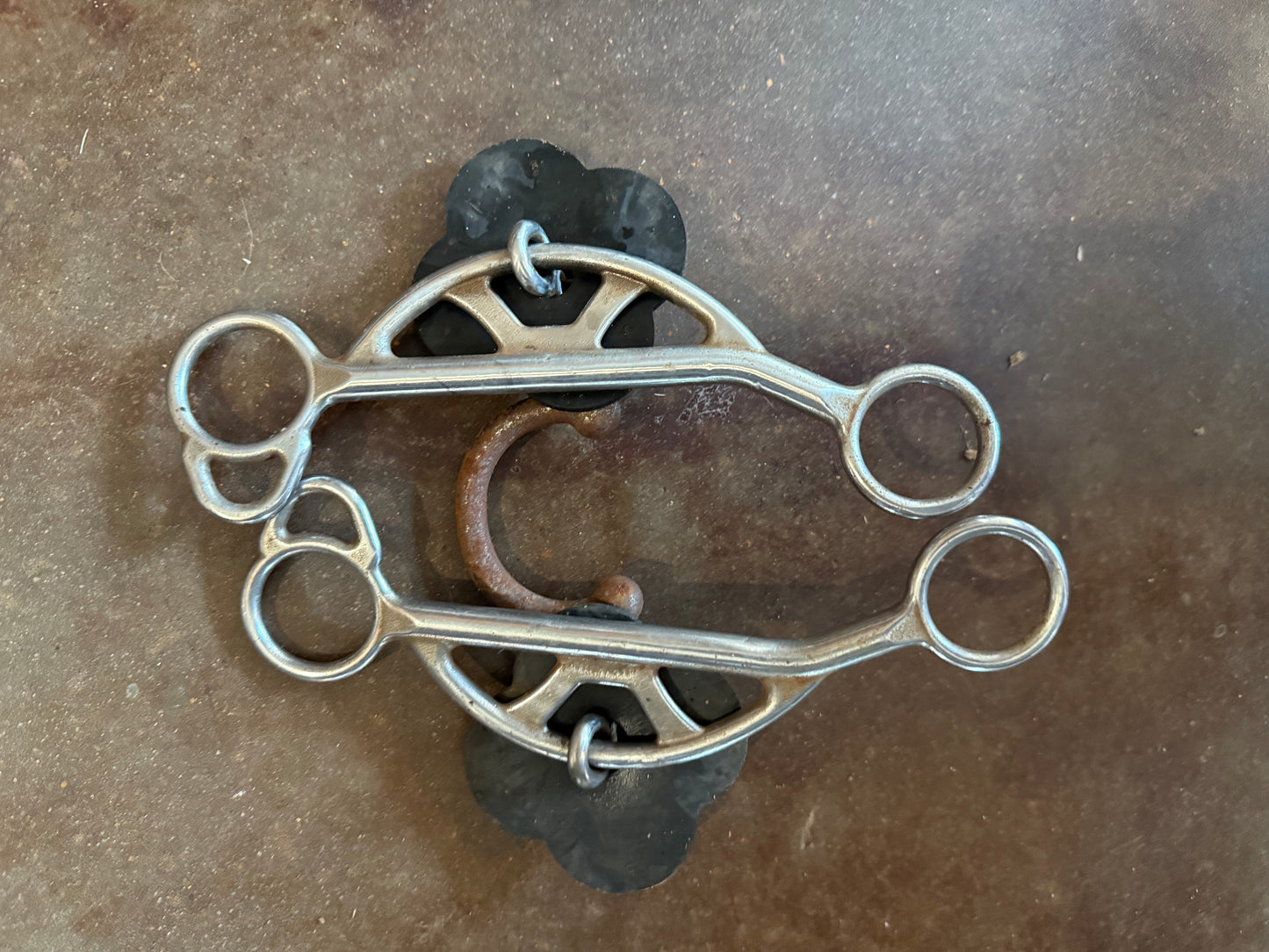 Kerry Kelly Chain Port Gag Barrel Bit