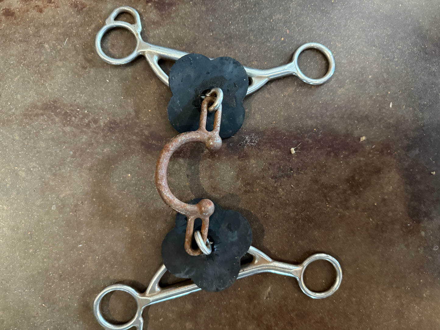 Kerry Kelly Chain Port Gag Barrel Bit