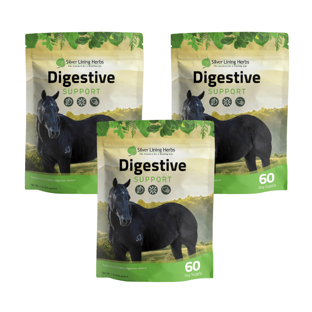 Digestive Support for Horses