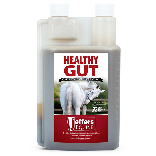 Jeffers Healthy Gut Gastric Support Liquid Supplement for Horses