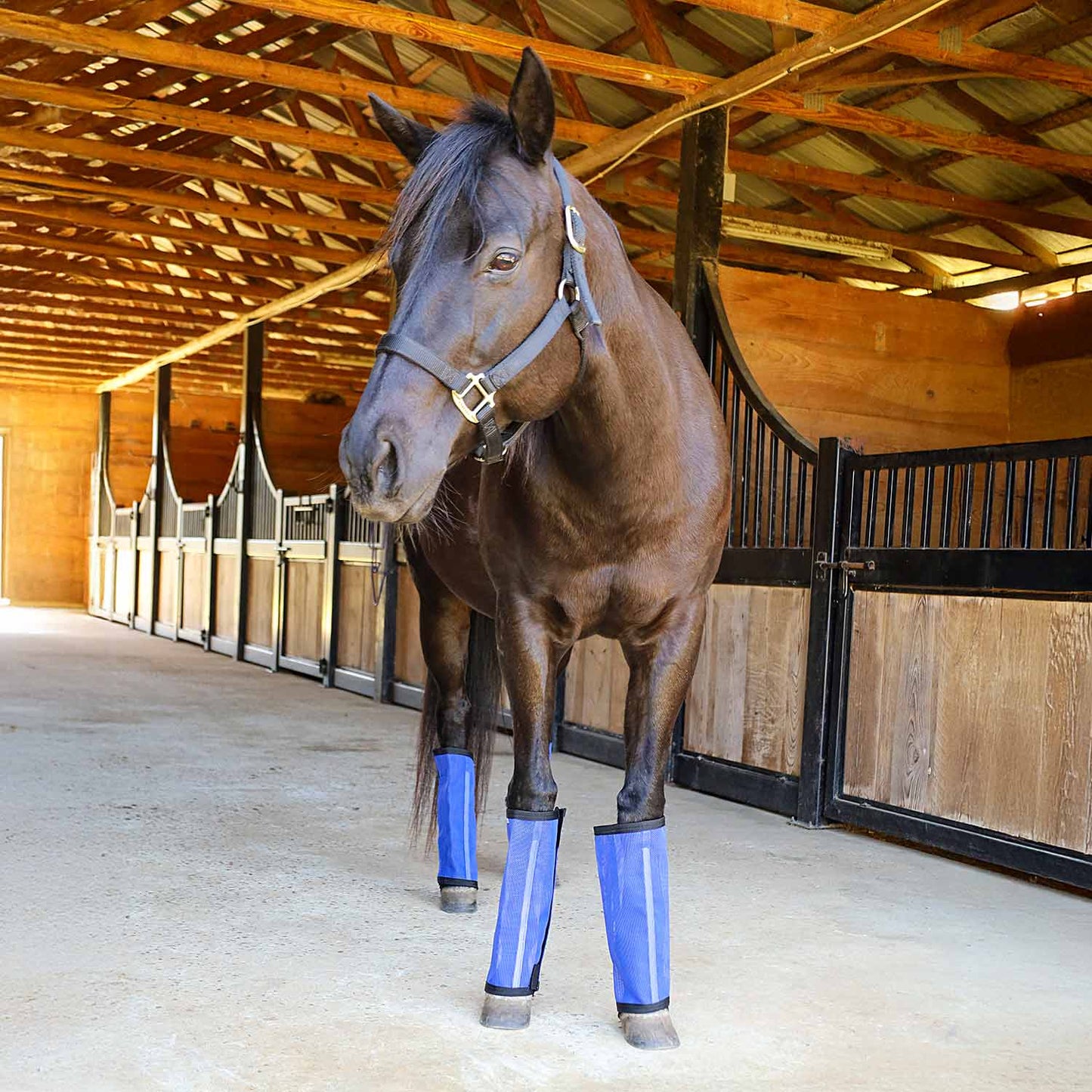 Jeffers Romper Stomper "Stomp-Free" Fly Boots for Horses, 4 pack