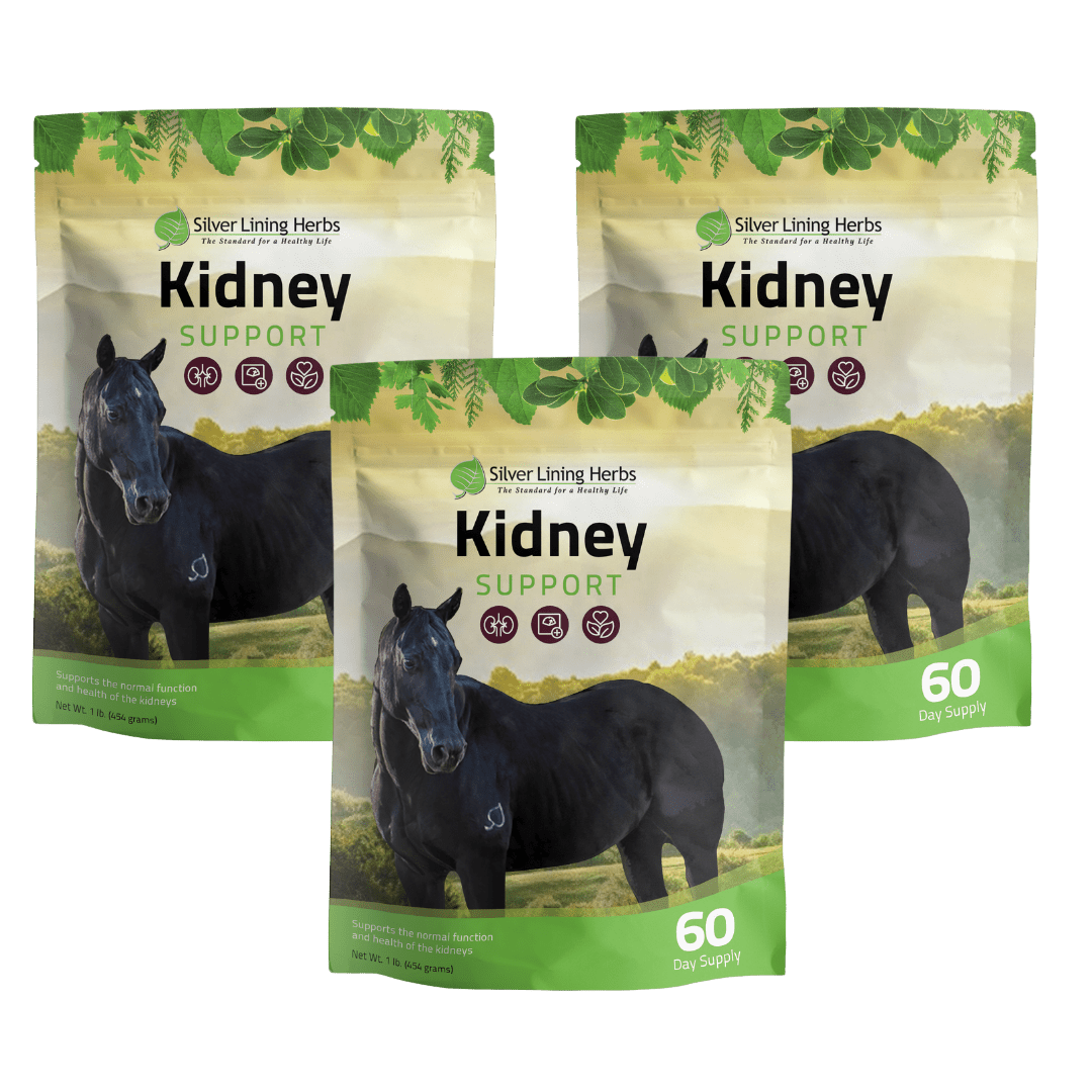 Kidney Support for Horses