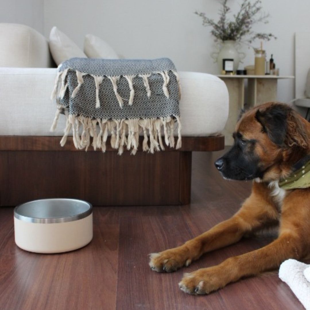 Stainless Steel Pet Bowl – Non-Slip, Durable & Dishwasher Safe | 32oz and 64oz